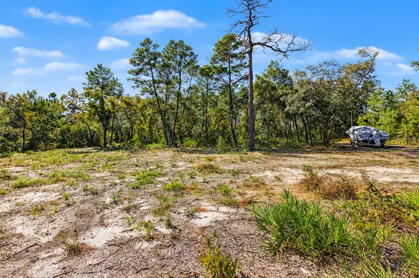 18182 RAPIDAN RD, Weeki Wachee, FL 34614