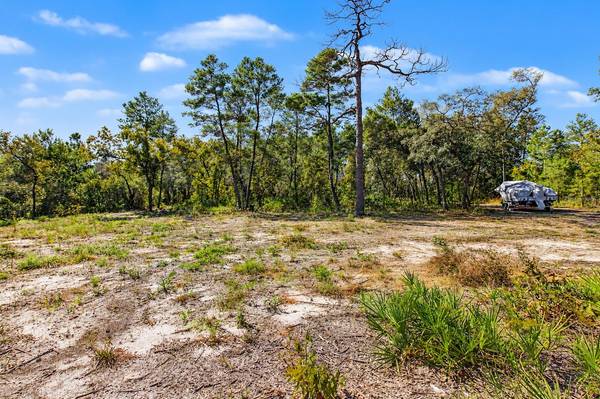 18182 RAPIDAN RD, Weeki Wachee, FL 34614
