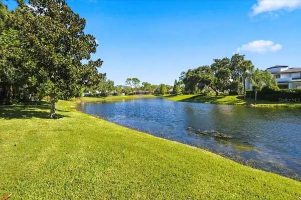 4110 CARROLLWOOD VILLAGE DR, Tampa, FL 33618