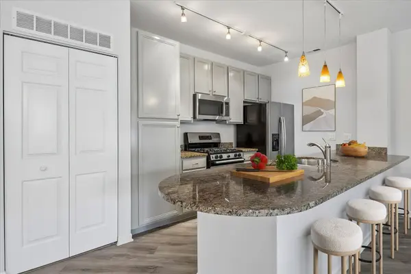 1450 S HALSTED ST #1A, Chicago, IL 60607