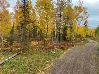 000 Aspen LN, Silver Bay, MN 55614