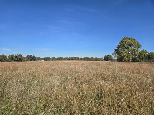 19832 Cpunty Road 64 #Tract 4, Wheatland, MO 65779