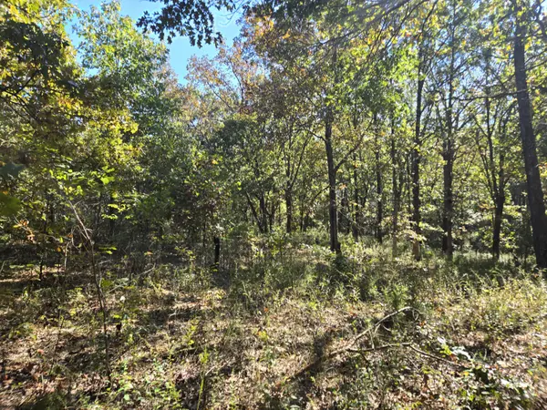 19832 County Road 64 #Tract 4, Wheatland, MO 65779