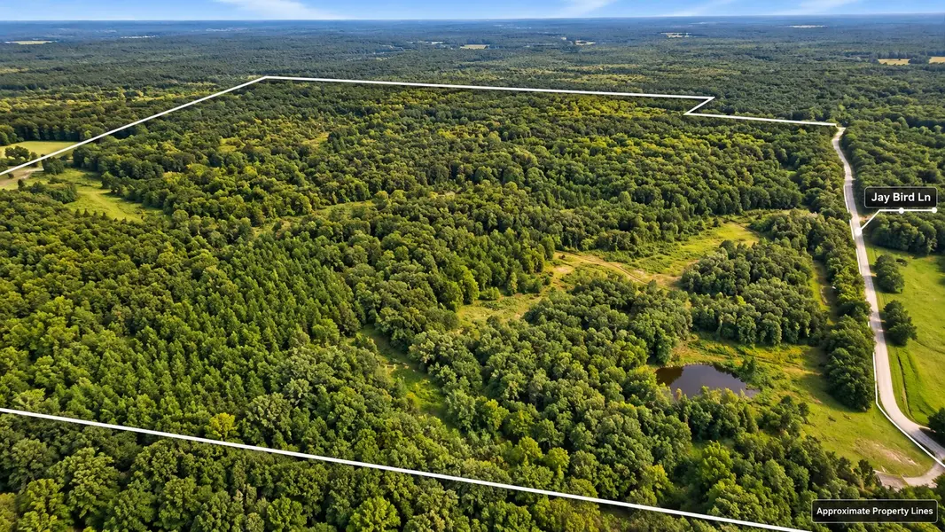631 Jay Bird Ln, Palmersville, TN 38241