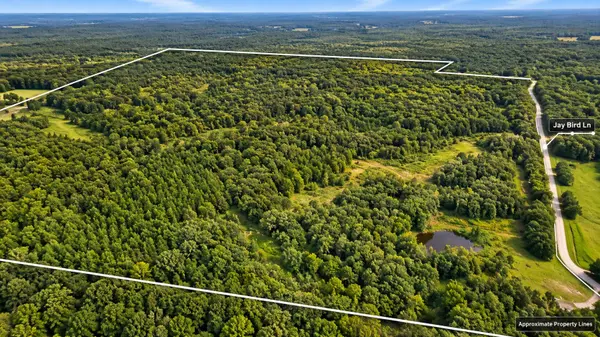 631 Jay Bird Ln, Palmersville, TN 38241