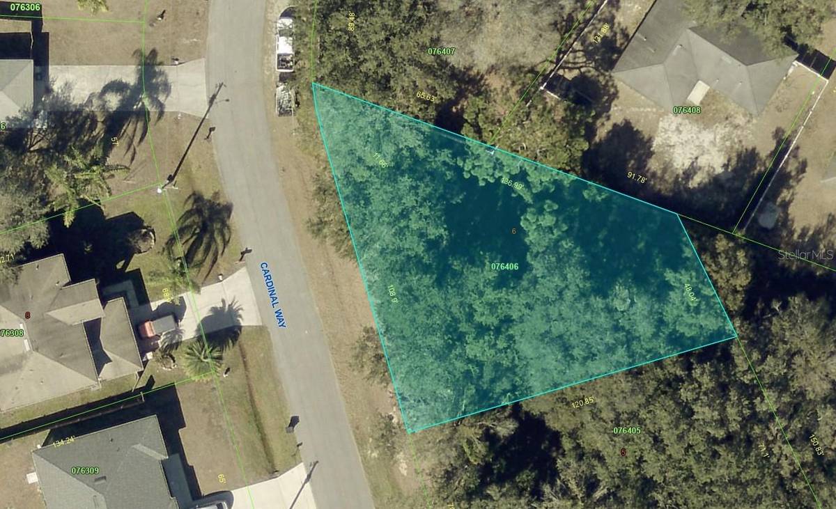 807 CARDINAL WAY, Poinciana, FL 34759