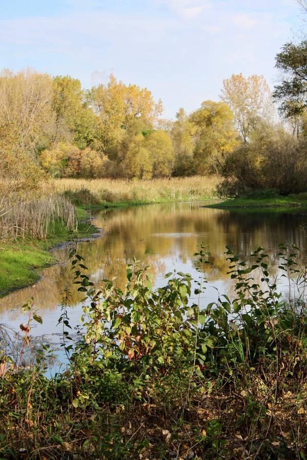 1438 Pondview CIR, Lino Lakes, MN 55038