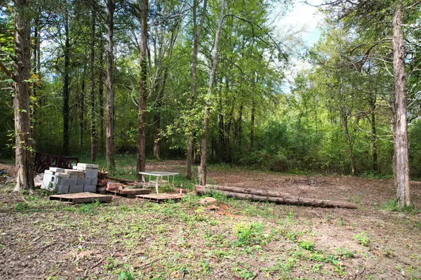 6100 River Road, Decatur, TN 37322