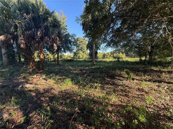 19515 NW 258TH ST, Okeechobee, FL 34972
