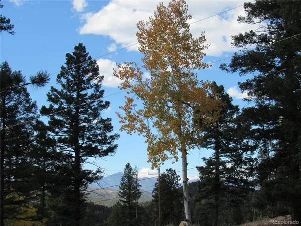 10198 Hutch, Conifer, CO 80433