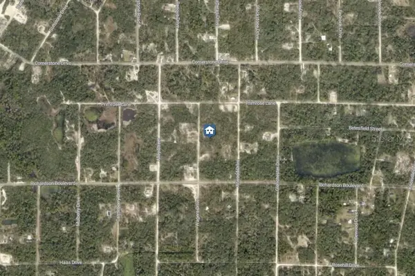 LOT 13 WAGERS DR, Webster, FL 33597