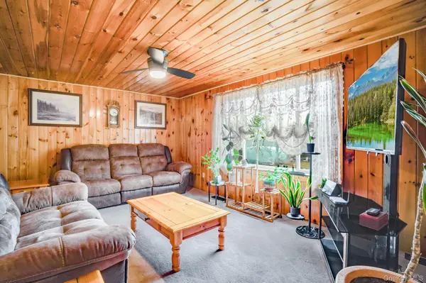 27 Beech LN, Liberty, NY 12754