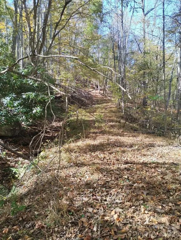 000 Dora LN, Bakersville, NC 28705