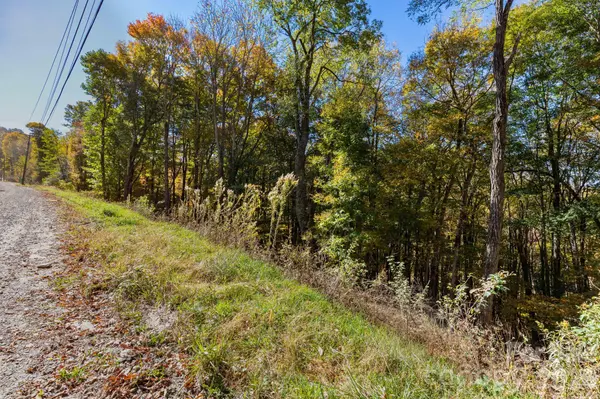 000 El Miner DR #479, Mars Hill, NC 28754