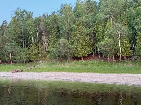 TBD Town Road 211, International Falls, MN 56649