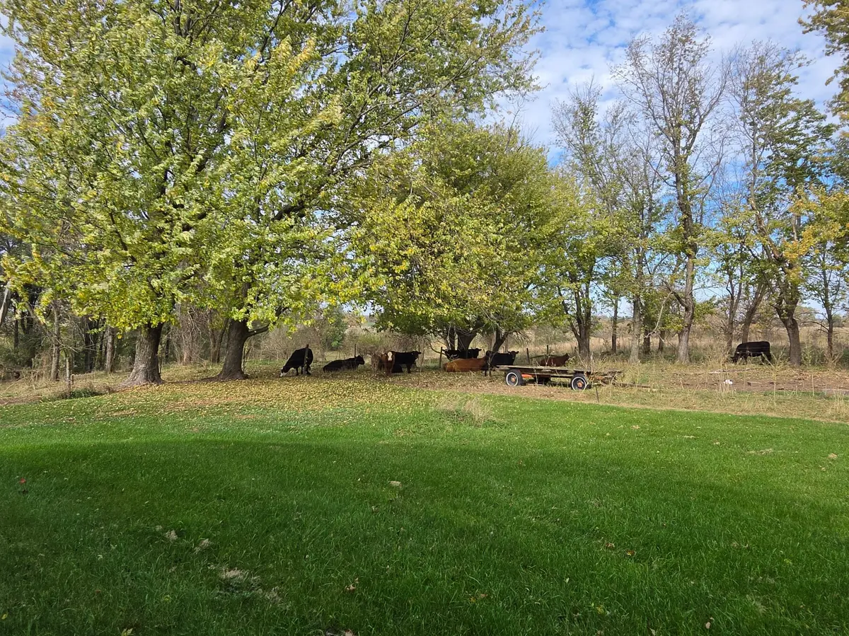 3321 430th Street, Nerstrand, MN 55053