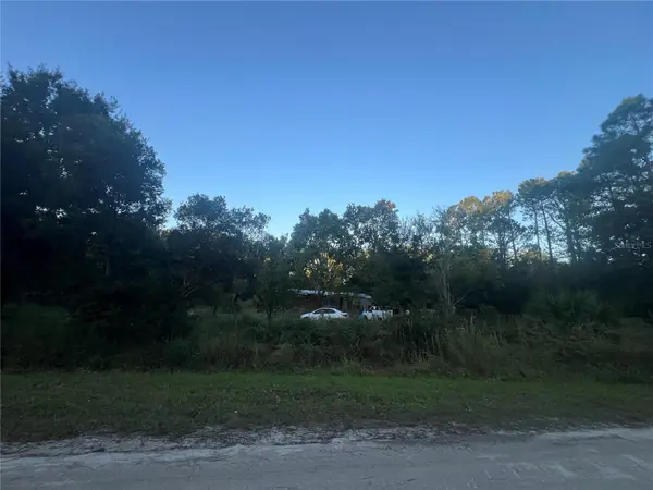 1696 ROSEWOOD ST, Bunnell, FL 32110