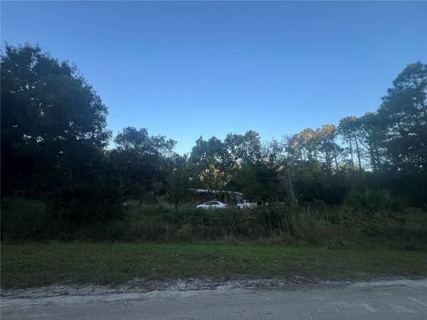 1696 ROSEWOOD ST, Bunnell, FL 32110