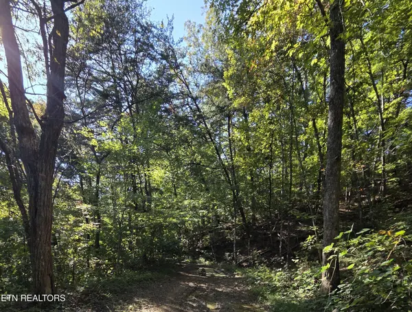98 Redbud Lane, Sevierville, TN 37876