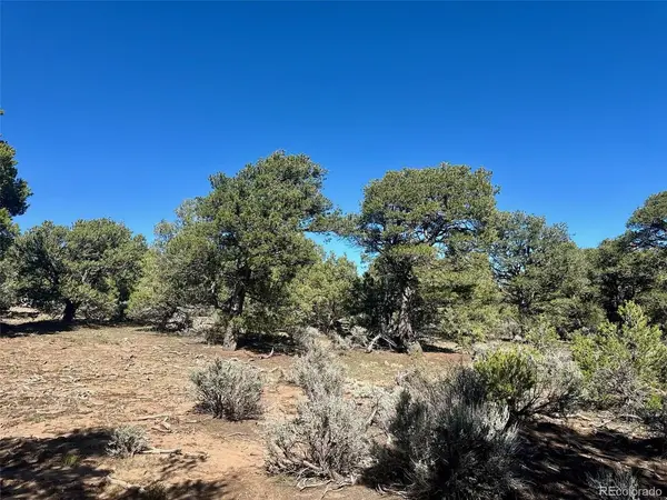 36 Elk Park, San Luis, CO 81152