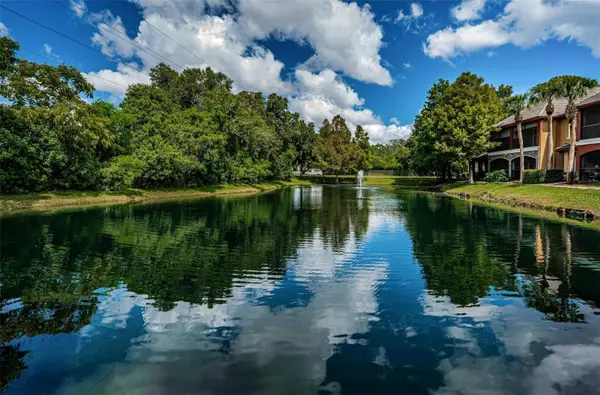 2138 CHIANTI PL #142, Palm Harbor, FL 34683