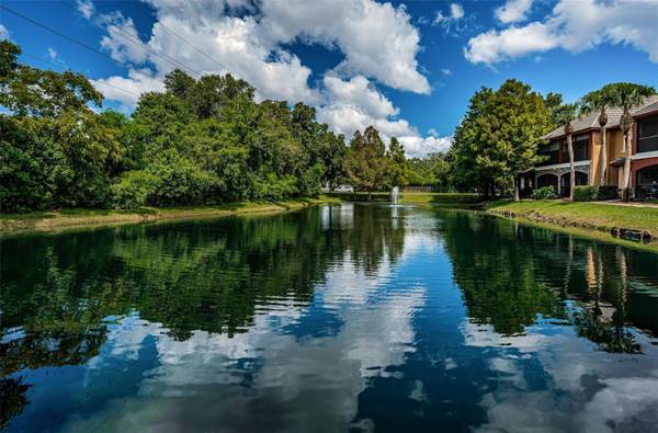 2138 CHIANTI PL #142, Palm Harbor, FL 34683