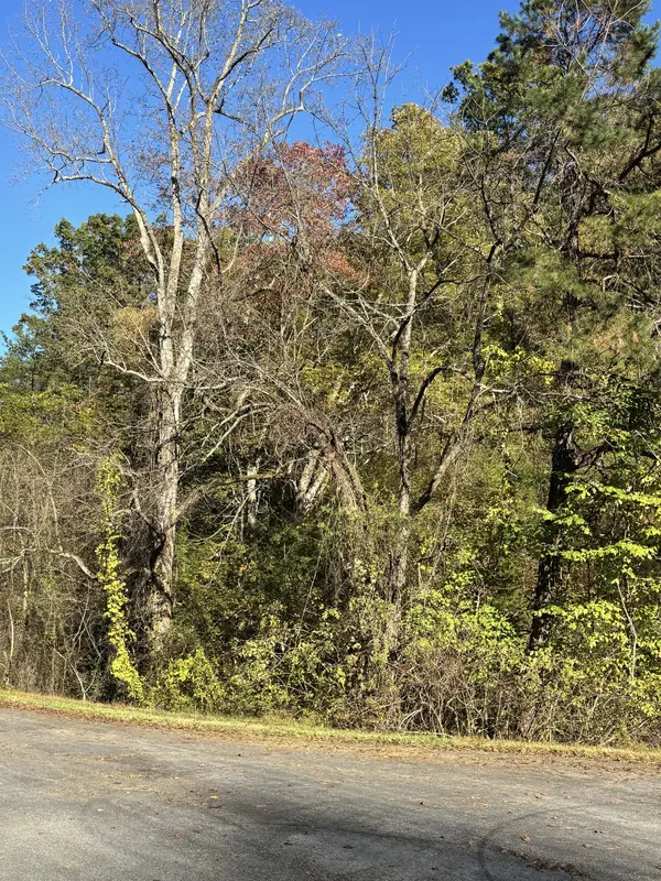0 Rex Way, Sevierville, TN 37876