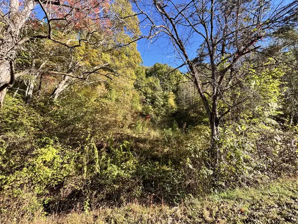 0 Rex Way, Sevierville, TN 37876