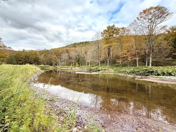 The Gulf RD, Roscoe, NY 12776