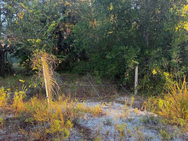 19835 NW 298TH ST, Okeechobee, FL 34972