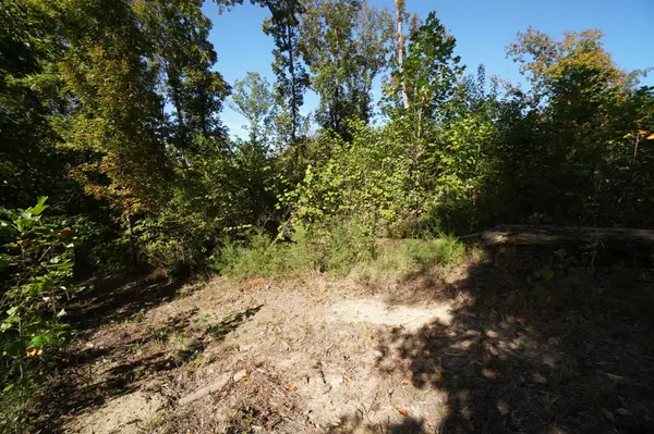 0 Brotherton Rd, Jefferson City, TN 37760