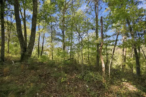 0 Birds Eye Way, Guild, TN 37340
