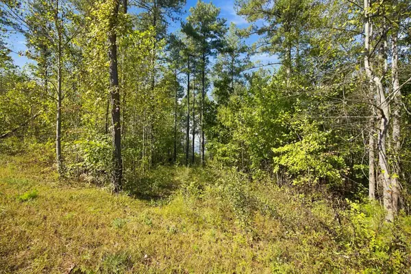 0 Birds Eye Way, Guild, TN 37340