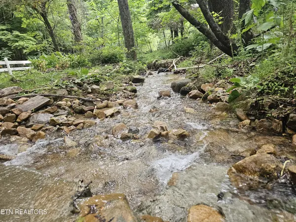 925 Tweed Springs Rd, Greeneville, TN 37743