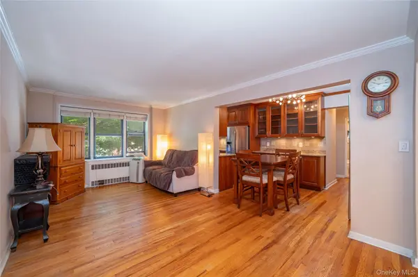 485 E Lincoln AVE #207, Mount Vernon, NY 10552