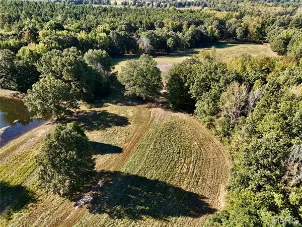 19504 County Road 262, Bloomfield, MO 63825