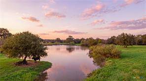 43 Rice RD, Yoakum, TX 77995