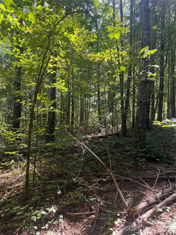 000 Old Neal RD, Marion, NC 28752