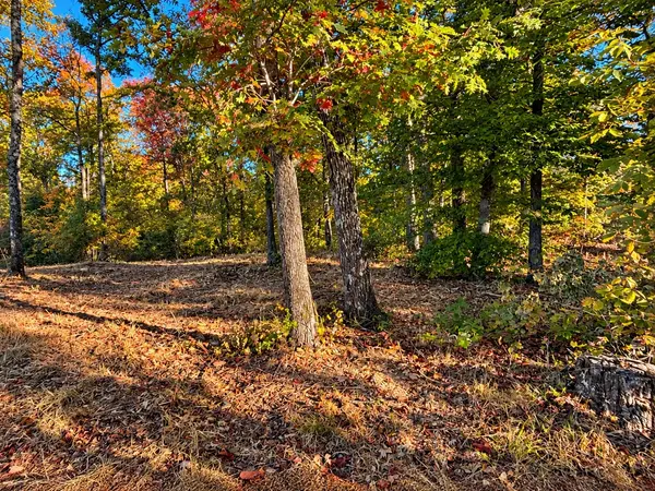 0 Backbone Road, Sparta, TN 38583