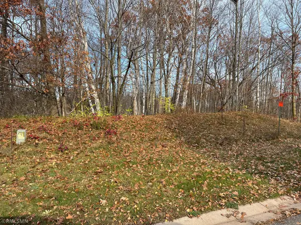 LOT 8 Wilderness Hills LN, Luck, WI 54853