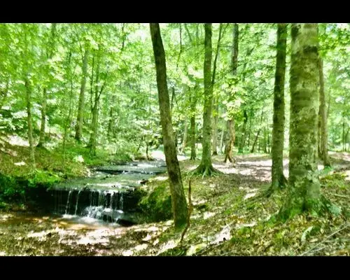 580 Dog Creek Rd, Lawrenceburg, TN 38464