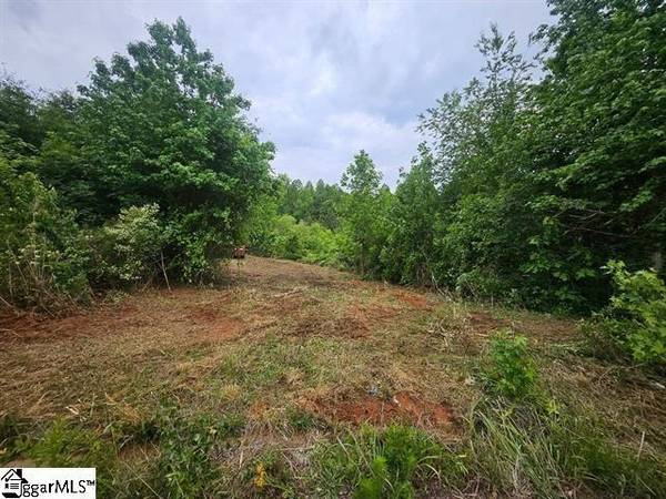 418 N Walcher Farm DR, Inman, SC 29349