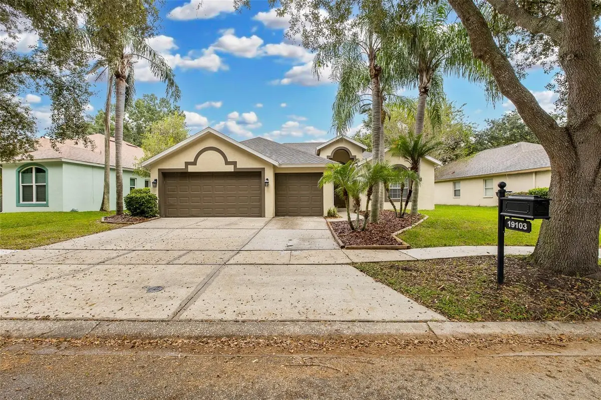 19103 DOVE CREEK DR, Tampa, FL 33647