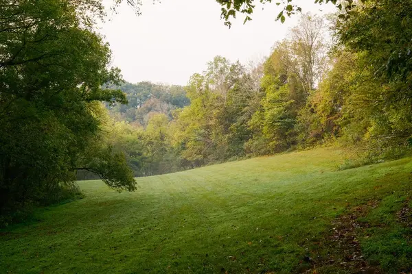 5956 N Lick Creek Rd, Franklin, TN 37064
