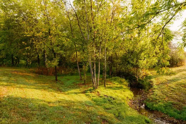 5956 N Lick Creek Rd, Franklin, TN 37064