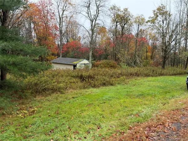 243 Lt. J.G. Brender Hwy, Liberty, NY 12734