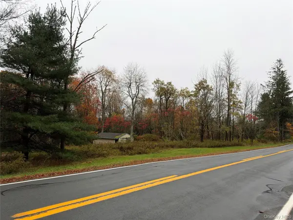 243 Lt. J.G. Brender Hwy, Liberty, NY 12734