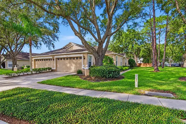 19122 DOVES LANDING DR, Tampa, FL 33647