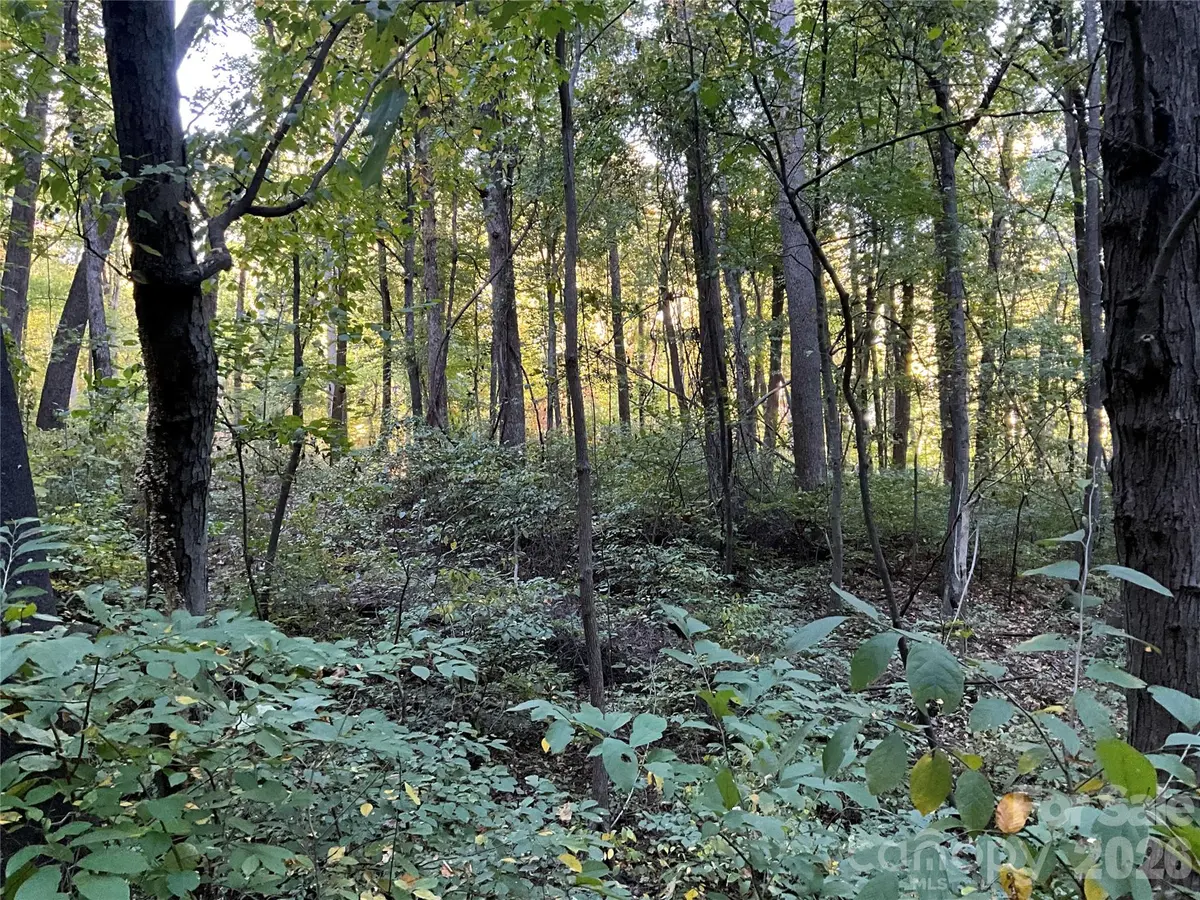 Lot 332/333 Bolt RD, Lake Lure, NC 28746