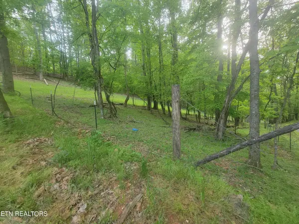 0 Fielden Store Rd, New Market, TN 37820